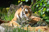 2012 05 26_0603.JPG