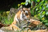 2012 05 26_0604.JPG