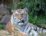2012 05 26_0632.JPG