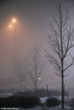 Winter Fog (27210)