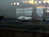 At Frankfurt am Main Airport .. 2957