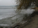 Mantova: Fog over the frozen lake .. 9707.jpg
