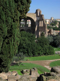 Basilca of Maxentius from the Palatine Hill .. 3502