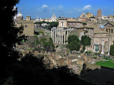 View of the Forum from the Palatine hill .. 3505