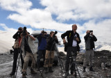 Looking at Black Vulture and Lammergeier