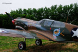  P40 Warhawk
