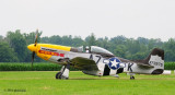 Another P51