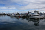 IMG_3205.JPG