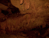 Mammoth-Cave_0552.jpg