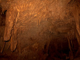 mammoth-cave_0558.jpg