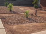 My Neighbours transformed garden.