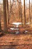 Last Snow