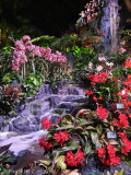 2012 Philadelphia Flower Show Hawaii