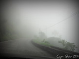 Fog.jpg