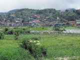 Strawberry Farm.jpg