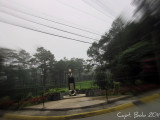 John Hay.jpg