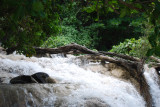 Dunns River Falls