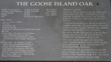 Goose Island Oak