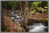 09/11/11 - Autumn Woodland (Color Efex Pro 4s new Image Border feature)