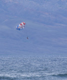 Paragliding.jpg