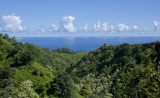 Road to Hana 1.jpg