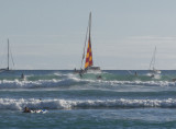 Waikiki surf.jpg