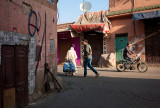 43-Morocco2©ALBERT_ENGELN.jpg