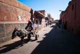 54-Morocco2©ALBERT_ENGELN.jpg