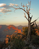 Mather Point,  South rim