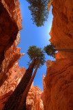 Bryce Canyon