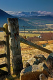 Posted  - Lochnagar in the distance
