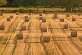 Bales