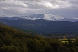 Lochnagar - from Cambus OMay woods