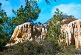 Torrey Pines Cliffs