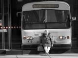 The Bus