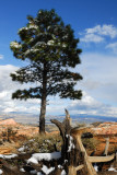 Snow at Bryce Canyon