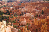 The Hoodoos of Bryce Canyon