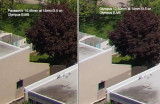 Olympus 12-50mm versus Panasonic 14-45mm at 14mm f3.5 edge of field