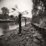 2011 - Autumn at Twickenham - Scan-110505-0023.jpg