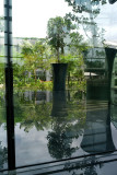 2011 - Singapore - L1021244