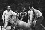 1964 Sarawak - Hunters and their quarry