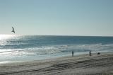 Atlantic_Beach_Nov_2005_B_019.jpg