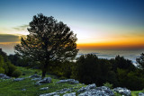 Jahan Nama Protected Area