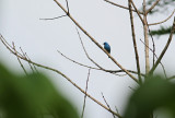 IMG_4962.15.2.jpg