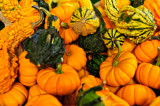 Assorted Gourds