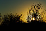 Sunset on Assateague