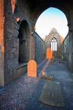 Clare Abbey