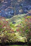 Rano Raraku Volcano