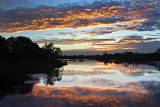Shannon River