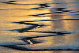 Mudflat Rivulets